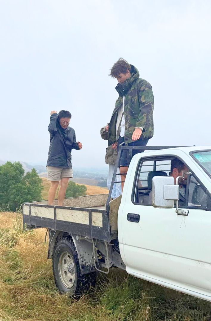 Tauroa Sanctuary Project