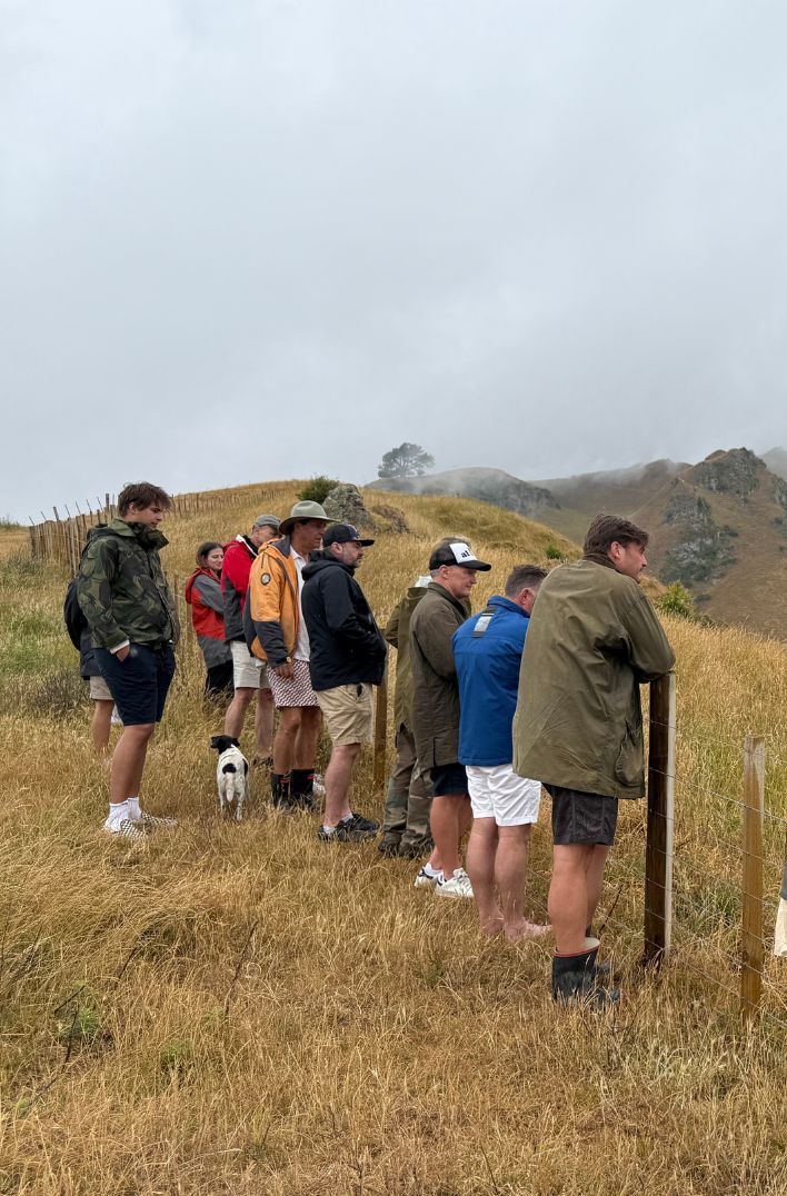 Tauroa Sanctuary Project