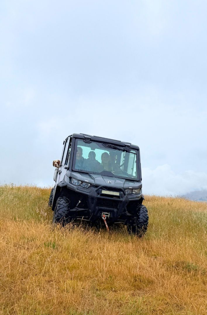 Tauroa Sanctuary Project