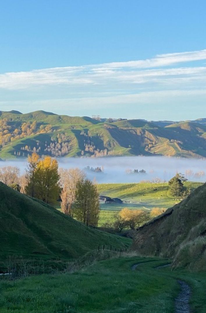 Tauroa Sanctuary Project